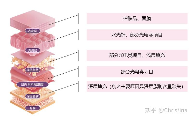 为什么整容