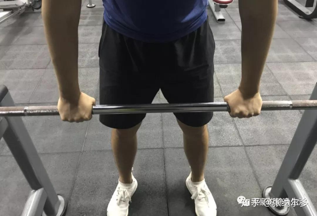 人人都能看懂的俯身杠铃划船教学 - 知乎