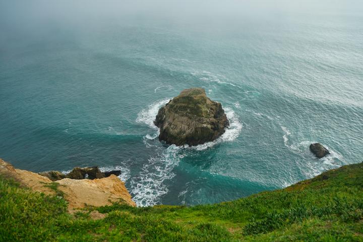 湾区101】十个精选Day Trip走遍旧金山湾区| 沉浸北湾森林海岸- Muir