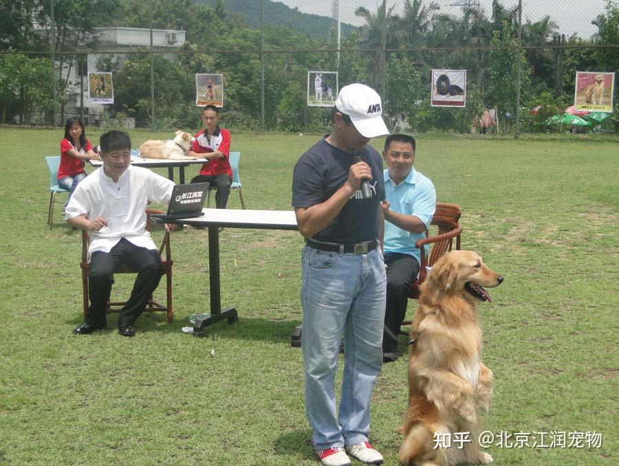 训犬讲堂第七课 犬匍匐前进的训练 - 知乎