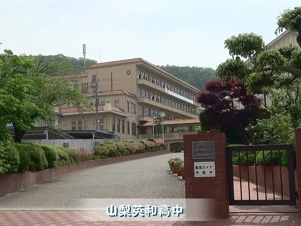 点击打开原图
