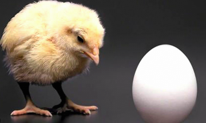 从进化论角度看，鸡与蛋谁先出现？