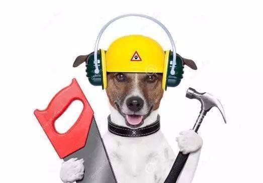 工程狗能否通过考证在行业内出头