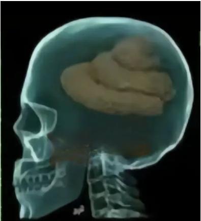 查看图片