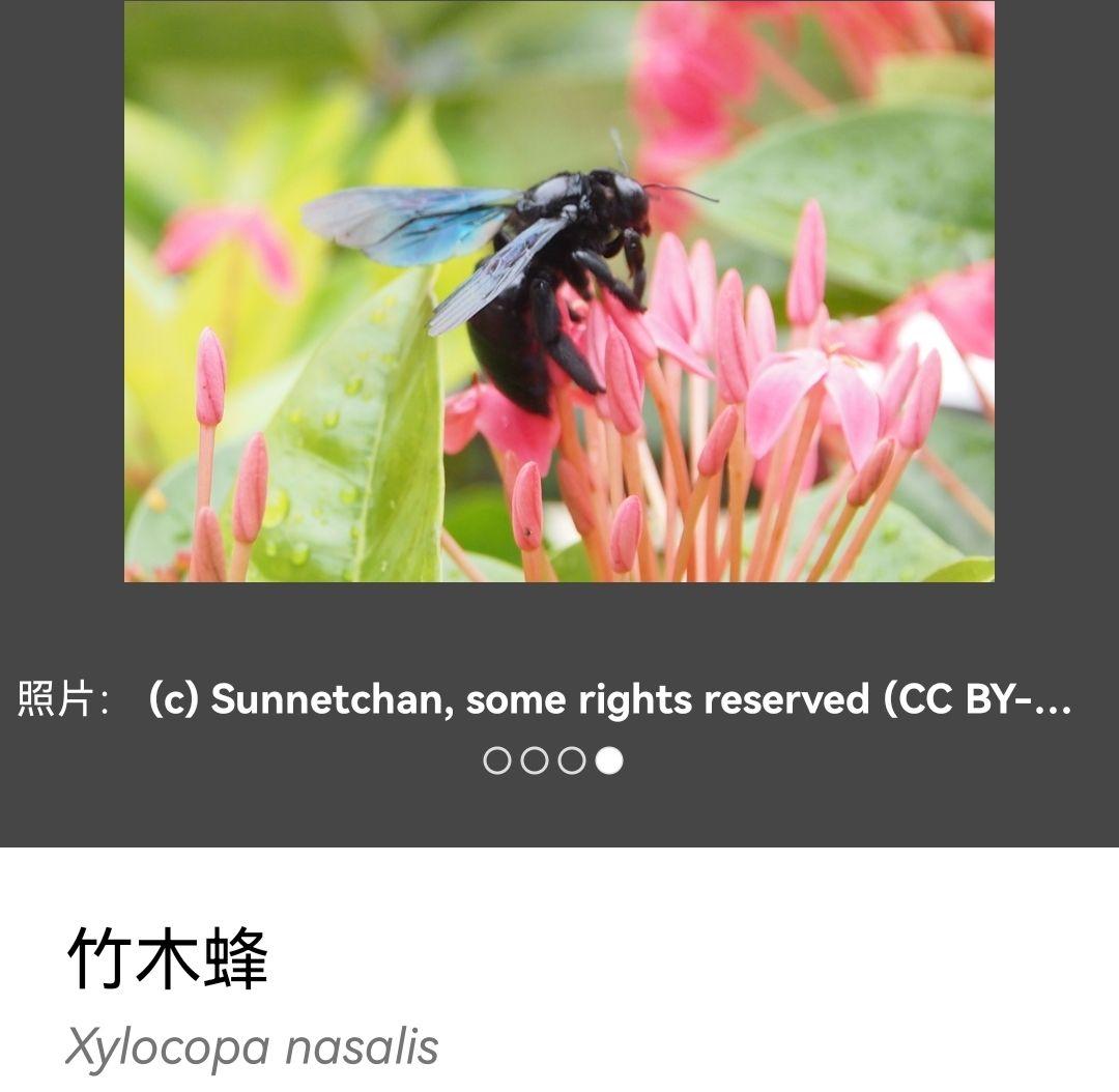 v2-9063a942d5412b96a98347bb1dd21881_r.jpg?source=2c26e567