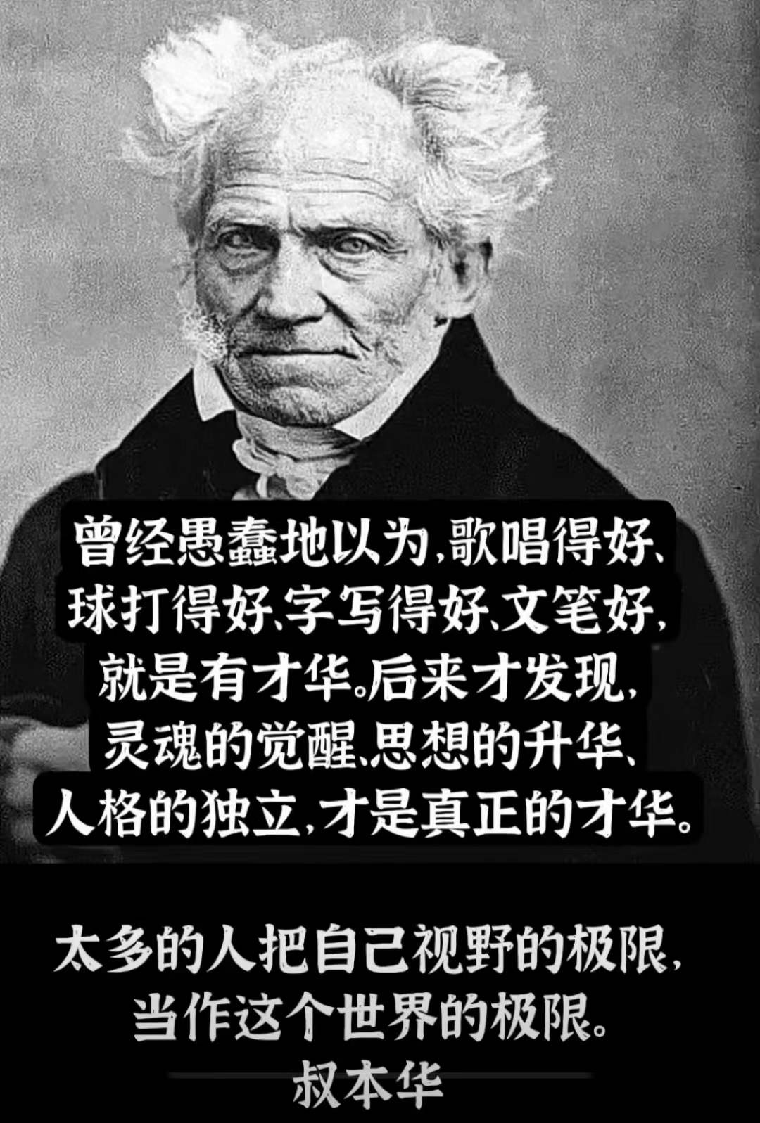 叔本华的作为意志和表象的世界读不懂怎么办