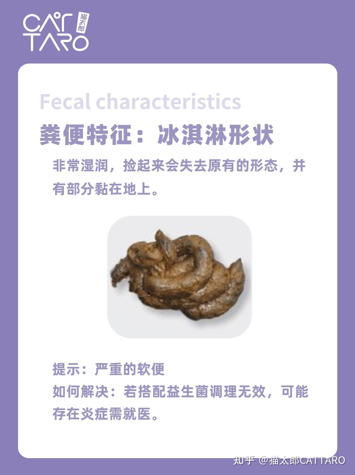 健康的猫屎是什么样子的