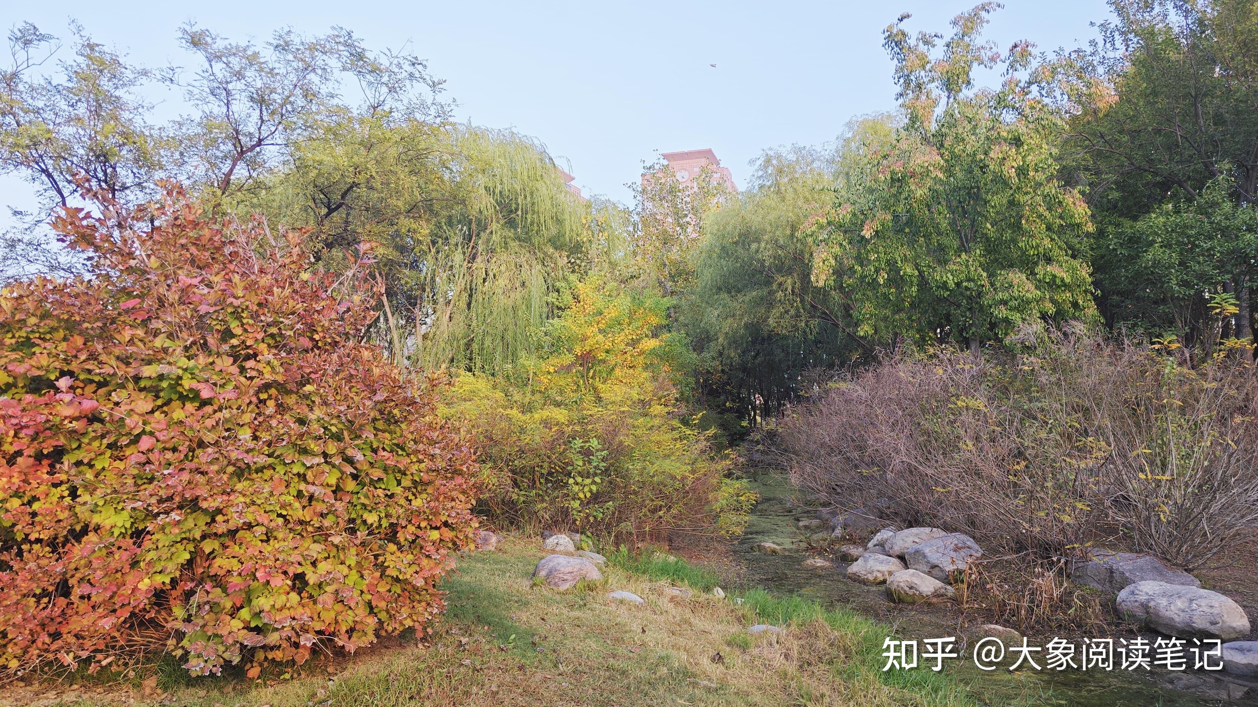 品读八字箴言:大知闲闲,小知间间 - 知乎