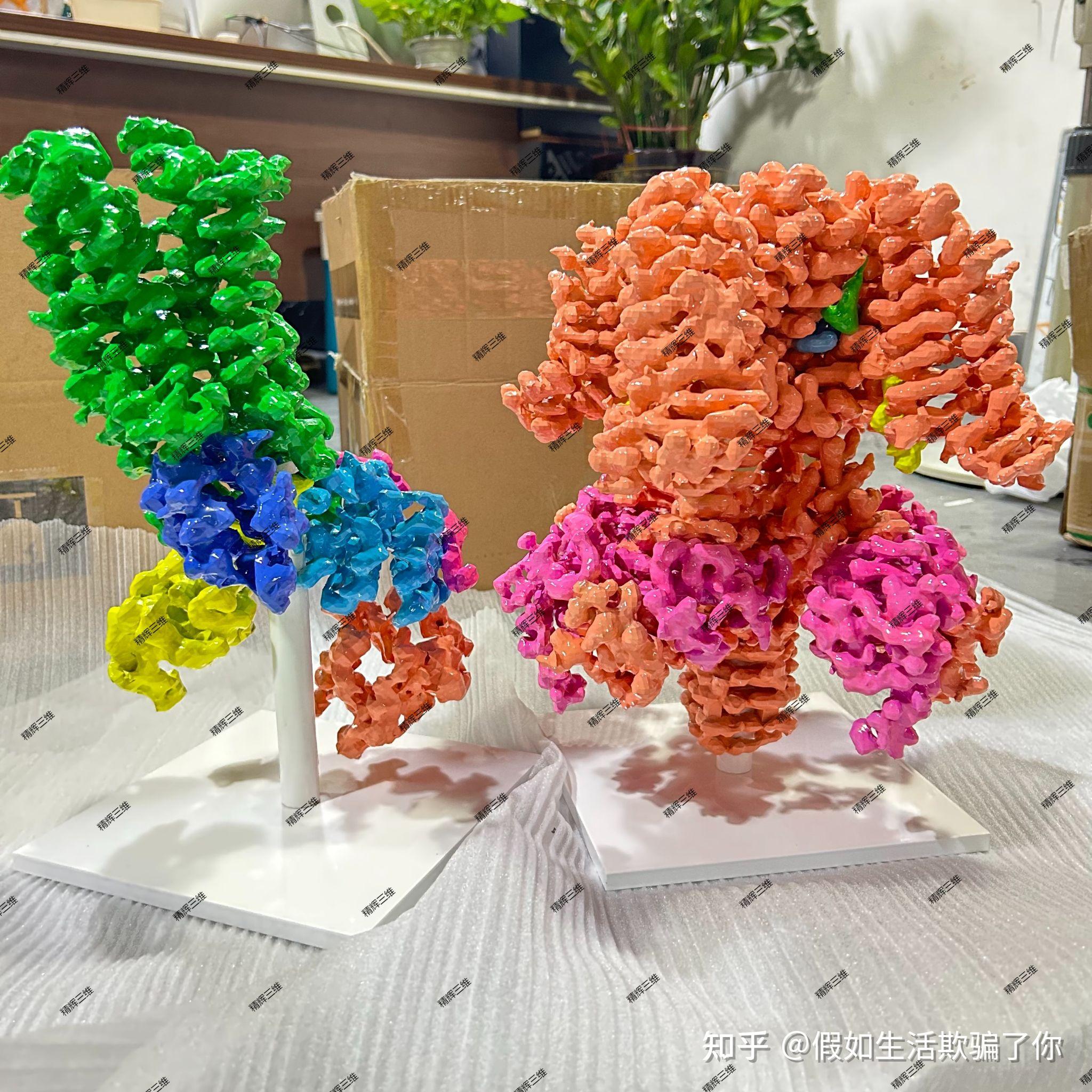 细胞模型,细胞模型制作超轻粘土 细胞模型,细胞模型制作超轻粘土