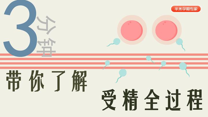 3分钟带你了解受精全过程 - 知乎
