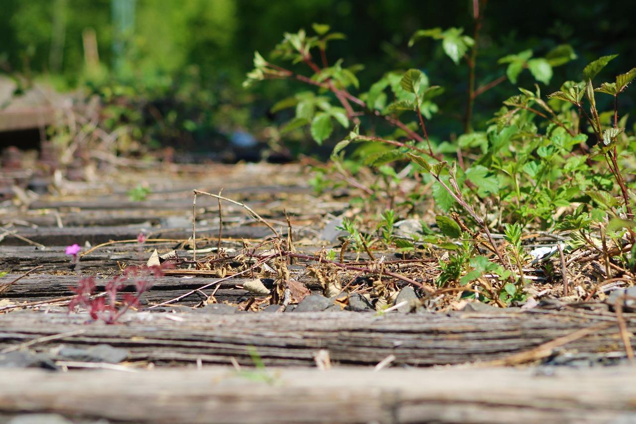 火车站带动就业