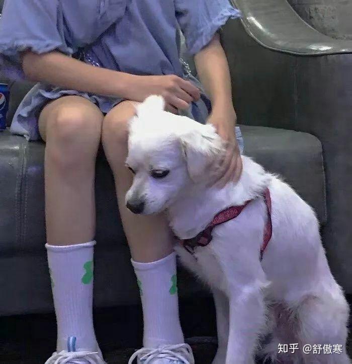 情侣头像一人一狗有没有那种女方是可爱的小女孩男方是狗的头像呀跪求