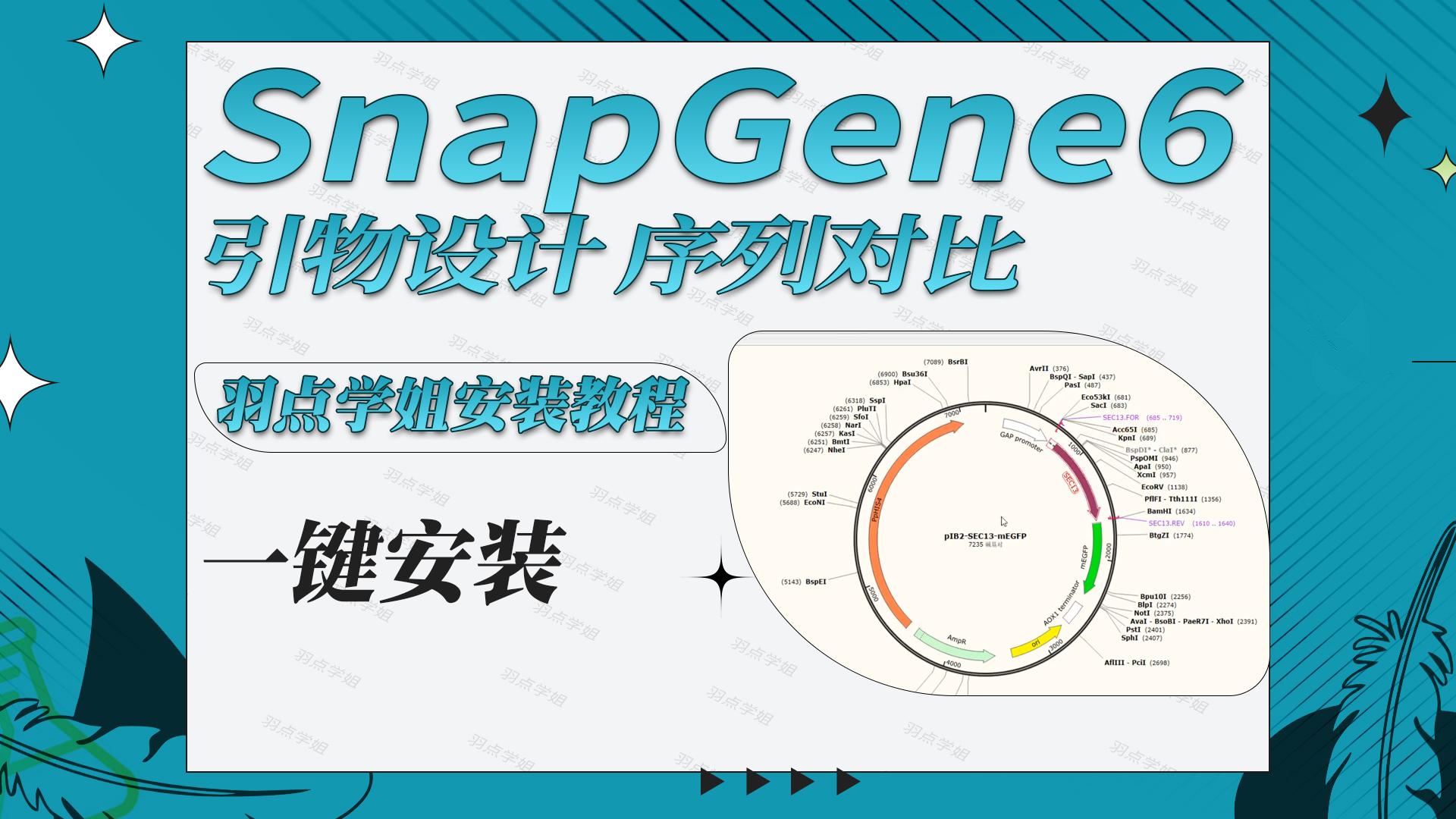 snapgene如何插入目的基因? - 知乎
