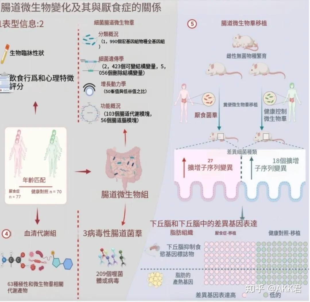 Nature子刊揭示肠菌异常引发神经性厌食症?厌食症缺乏6种丁酸生产菌包括AKK菌,可在食欲调节中起重要作用! - 知乎
