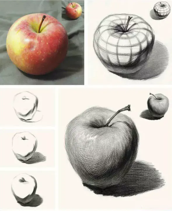 校尉美术：那些最难画的素描静物，画一次,被虐一次! - 知乎