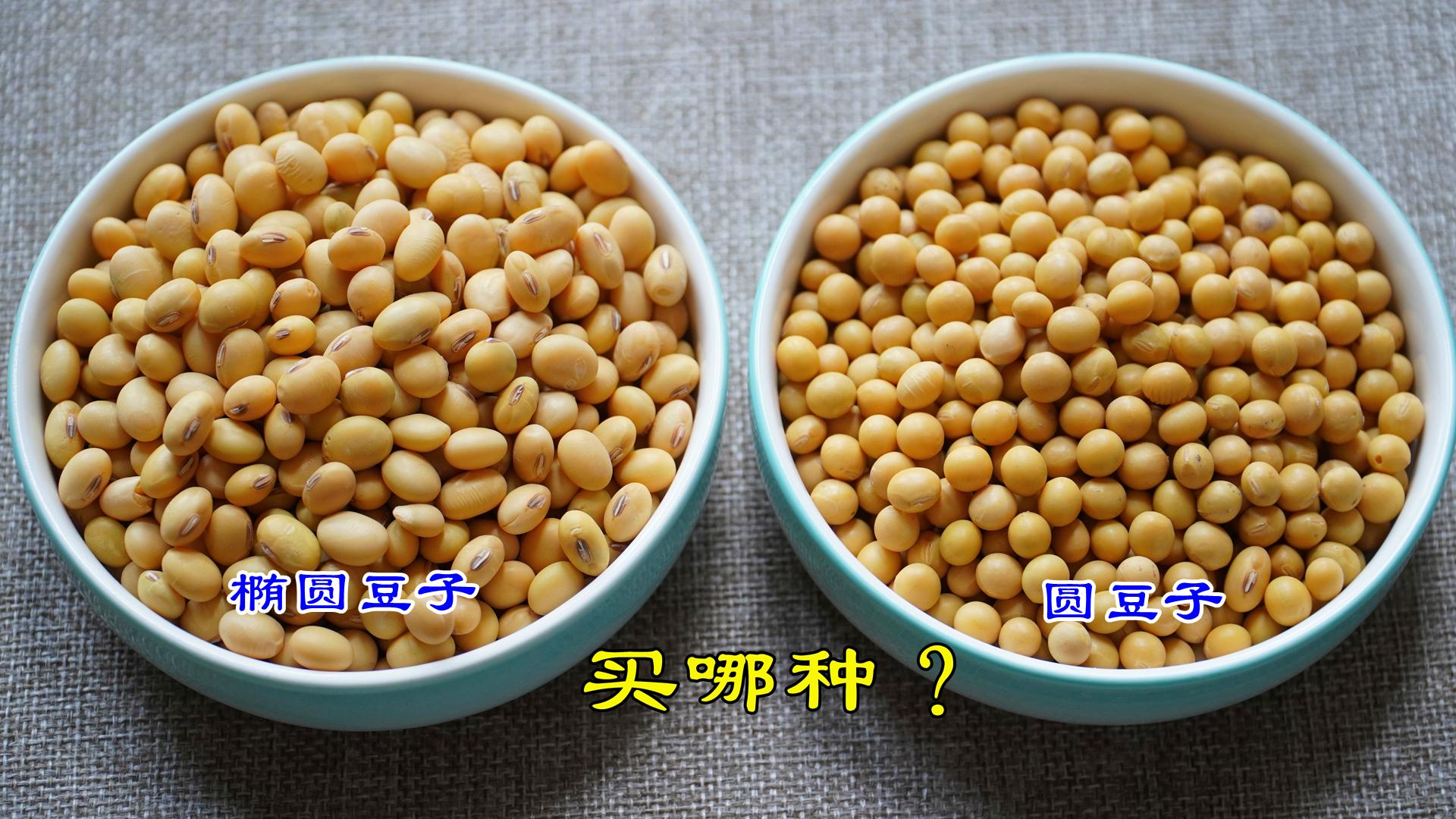 转基因黄豆和非转基因黄豆,差别很大,全面讲解,看完别再买错 - 知乎