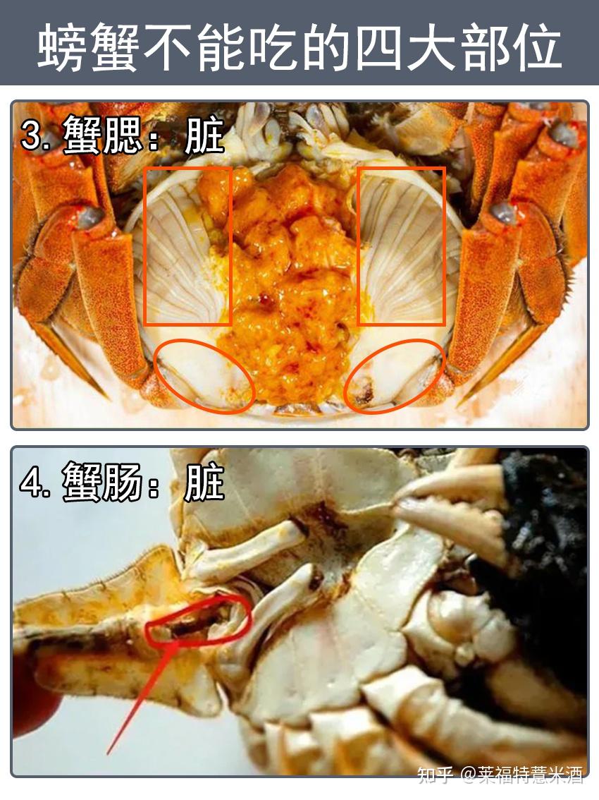 螃蟹不能吃的部位图片