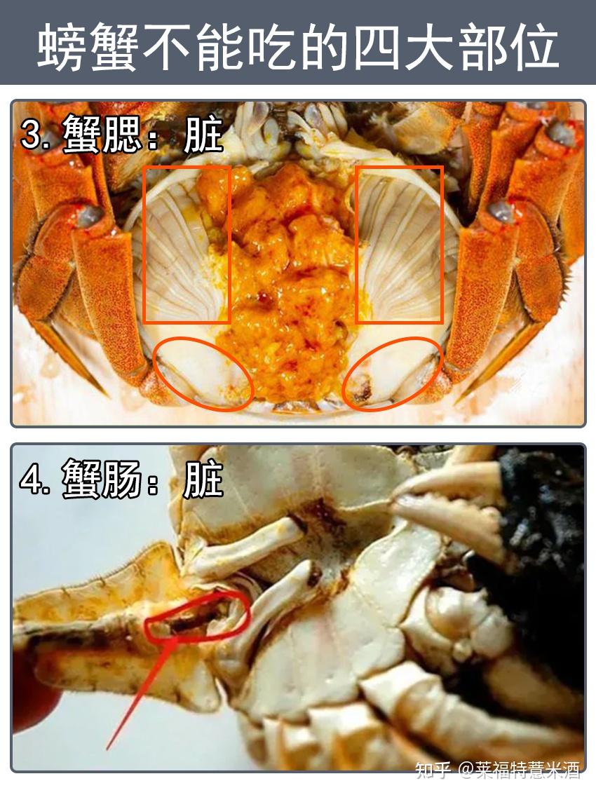 不会吃螃蟹很丢人么