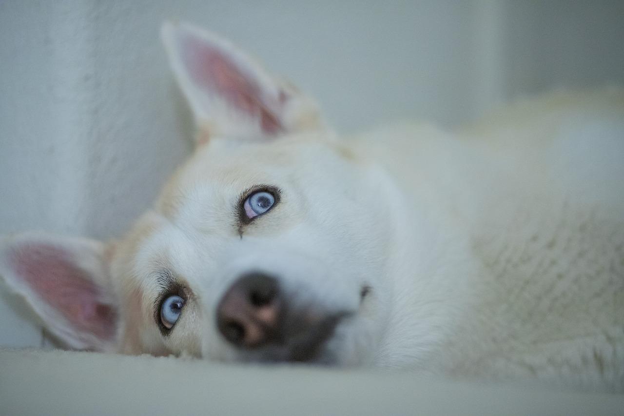 小户型如何实用？