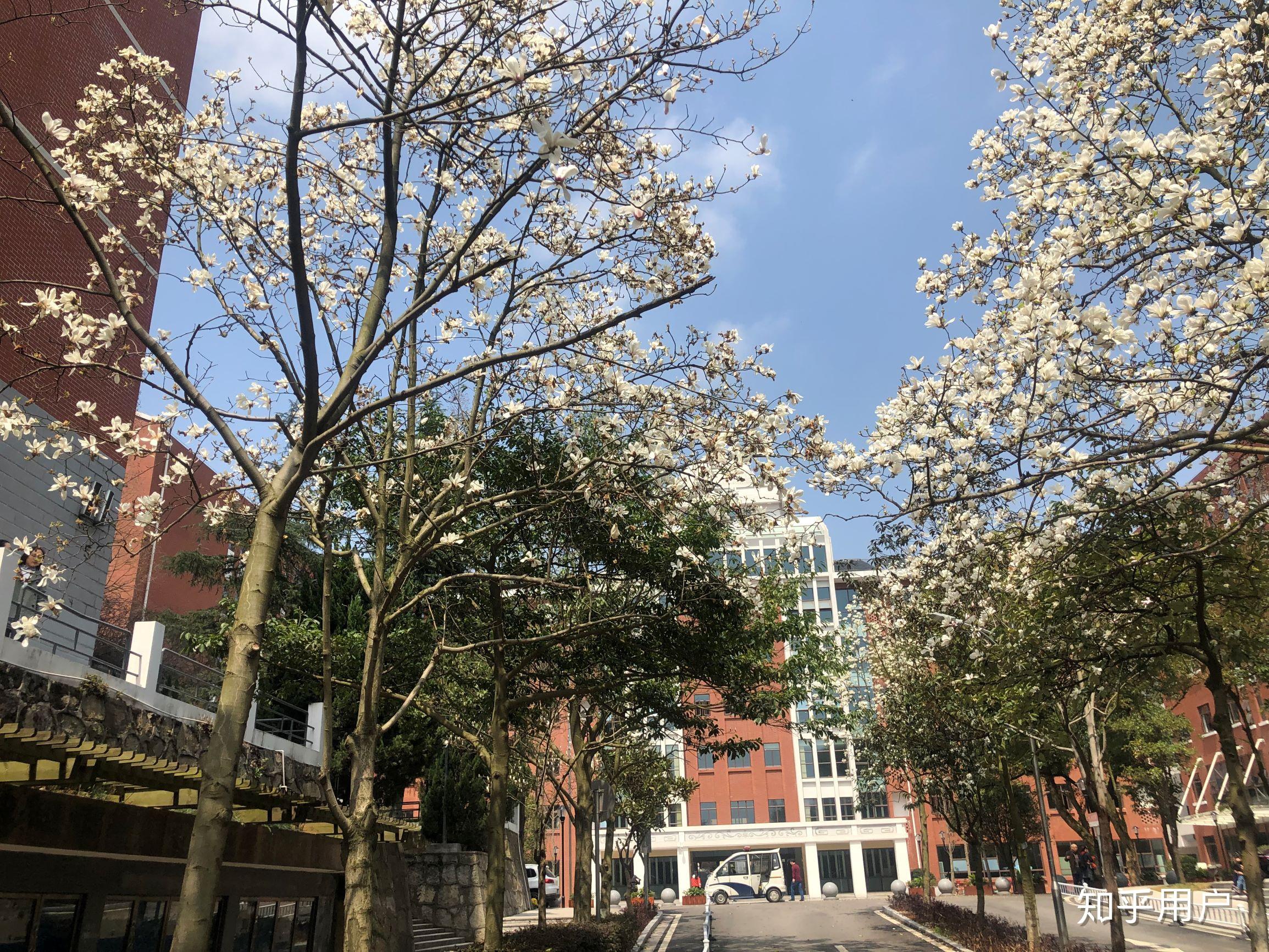 湖南师范大学校区(湖南师范大学校区分布)