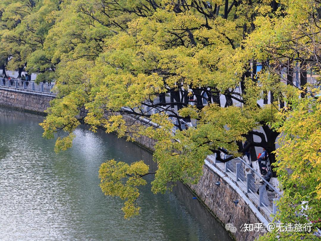昆明滇朴披金:大观河风景独好!(附美图) - 知乎