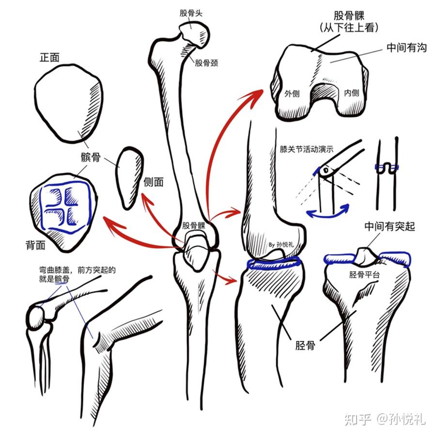 髌骨软化大体重我该如何运动啊崩溃中