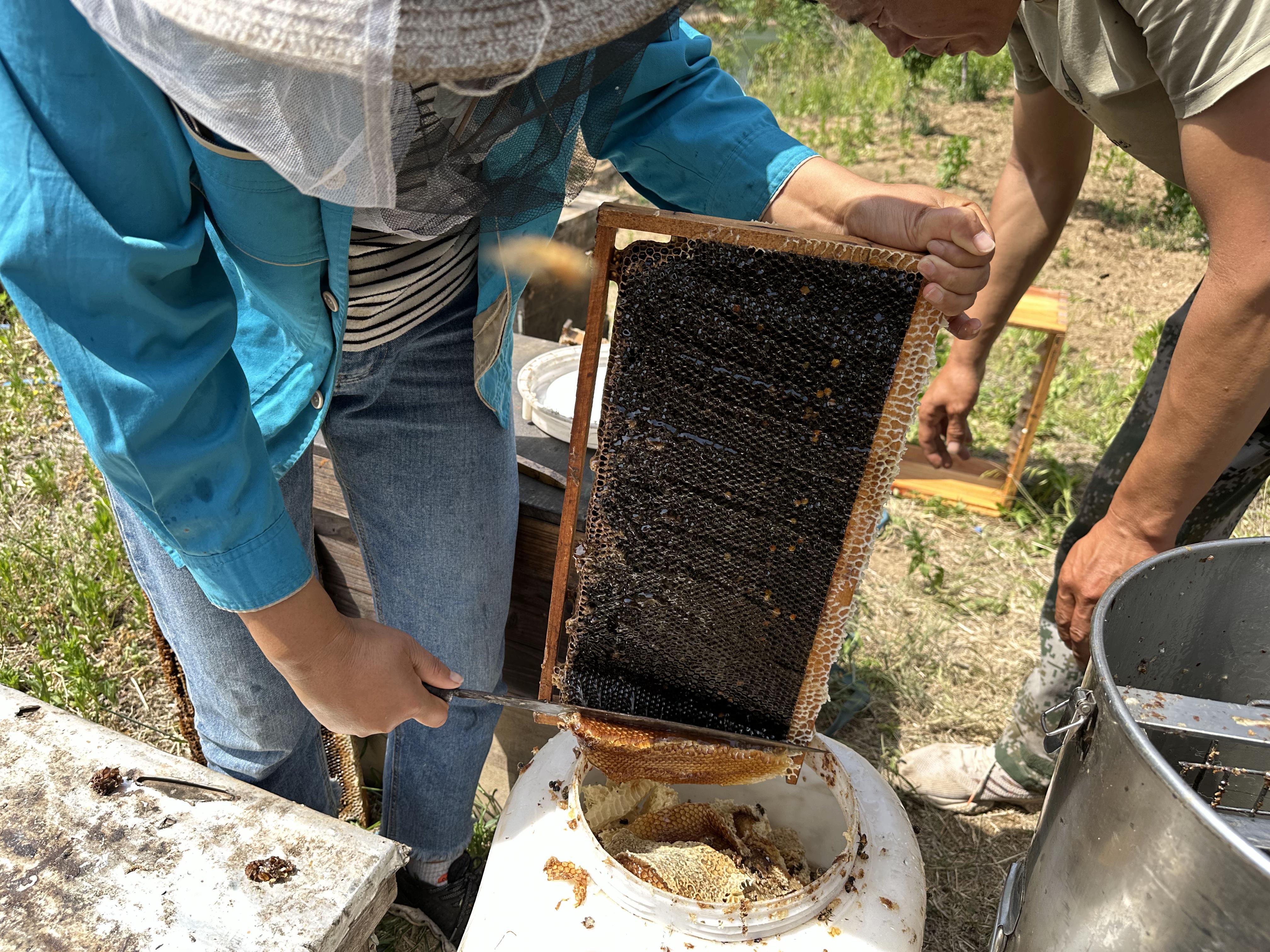 蜂蜜怎么放置保存(蜂蜜怎么保存要放冰箱里吗) 蜂蜜怎么放置保存(蜂蜜怎么保存要放冰箱里吗)