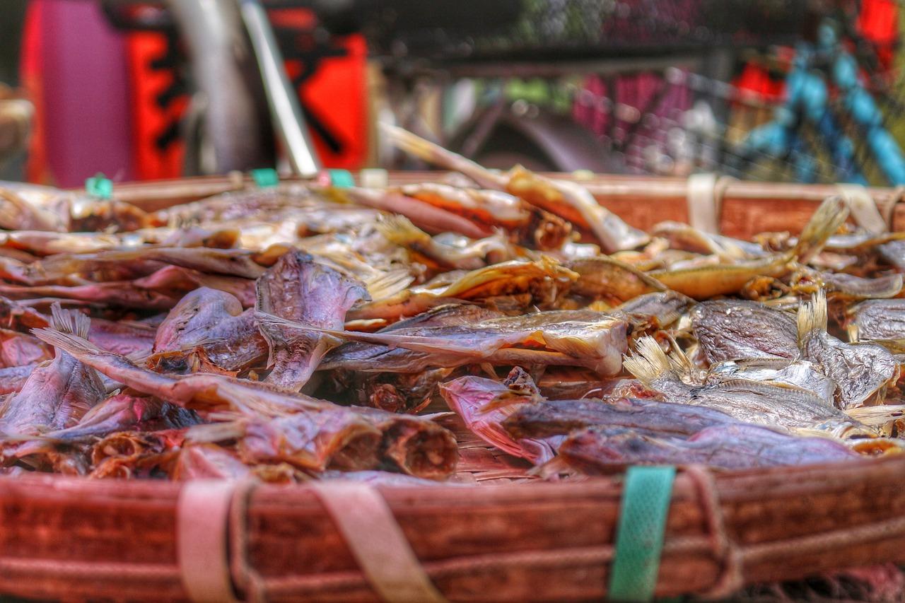 到海南渔村租房哪里好