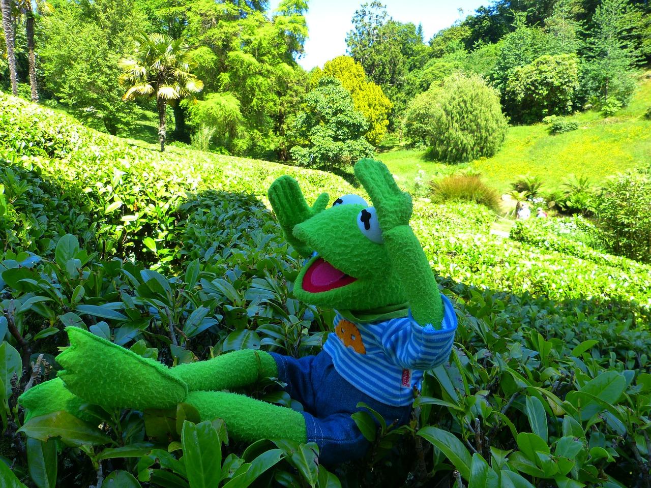 同馨花园属于什么社区