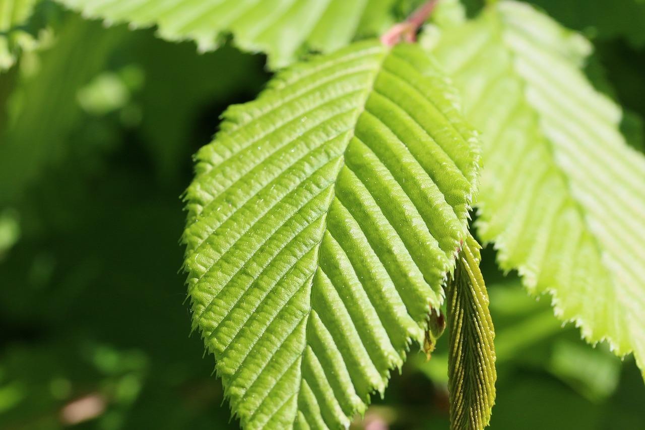 2. 优质户型解析