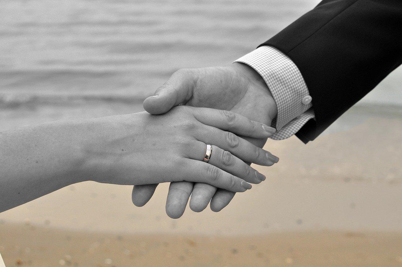 签约仪式嘉宾戴什么花