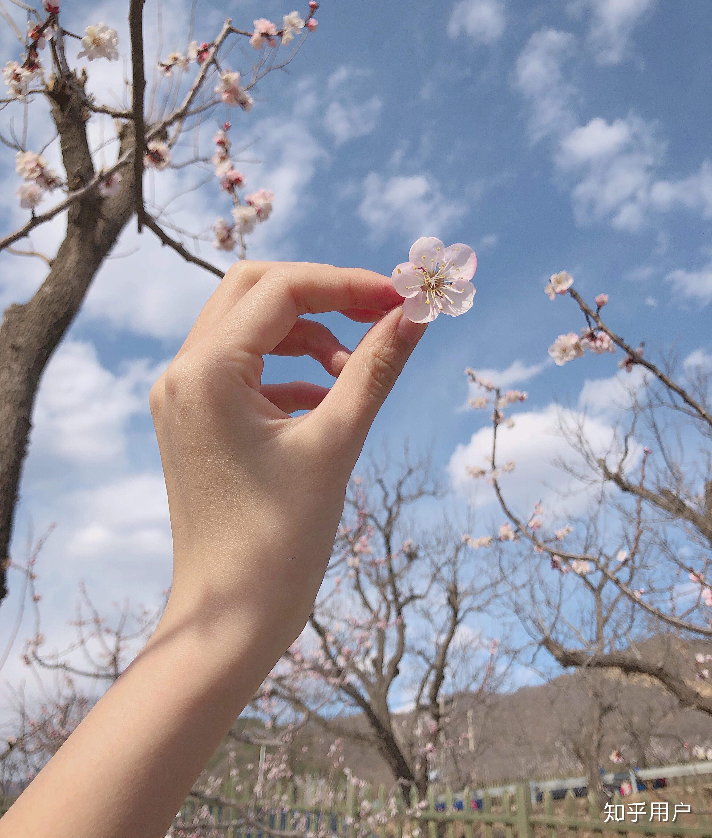 单拍手部的话,有哪些拍照的手部姿势呢?