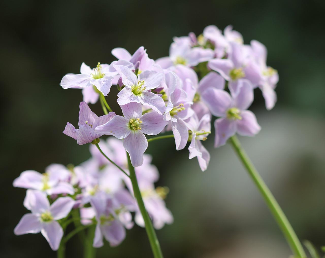 2. 藏青色墙面设计