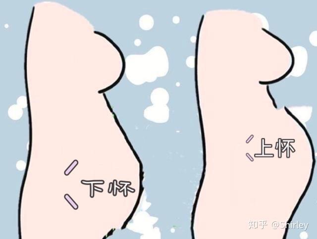 孕妈上怀与下怀有啥区别