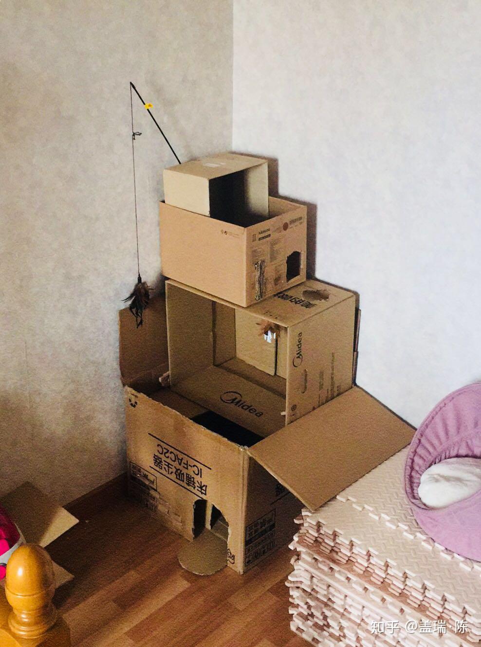 如何用废旧纸箱给猫做猫窝或者猫爬架? - 知乎