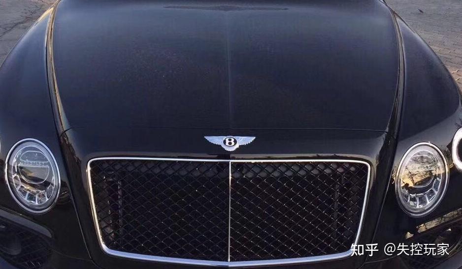 用鸟图案做标志的是什么汽车品牌