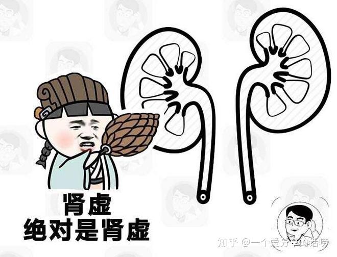 女生出现肾虚是什么原因? - 知乎