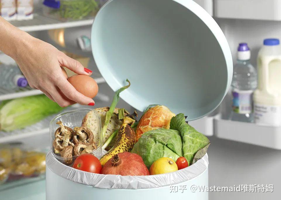 如何快速有效的处理厨余垃圾？ - 知乎