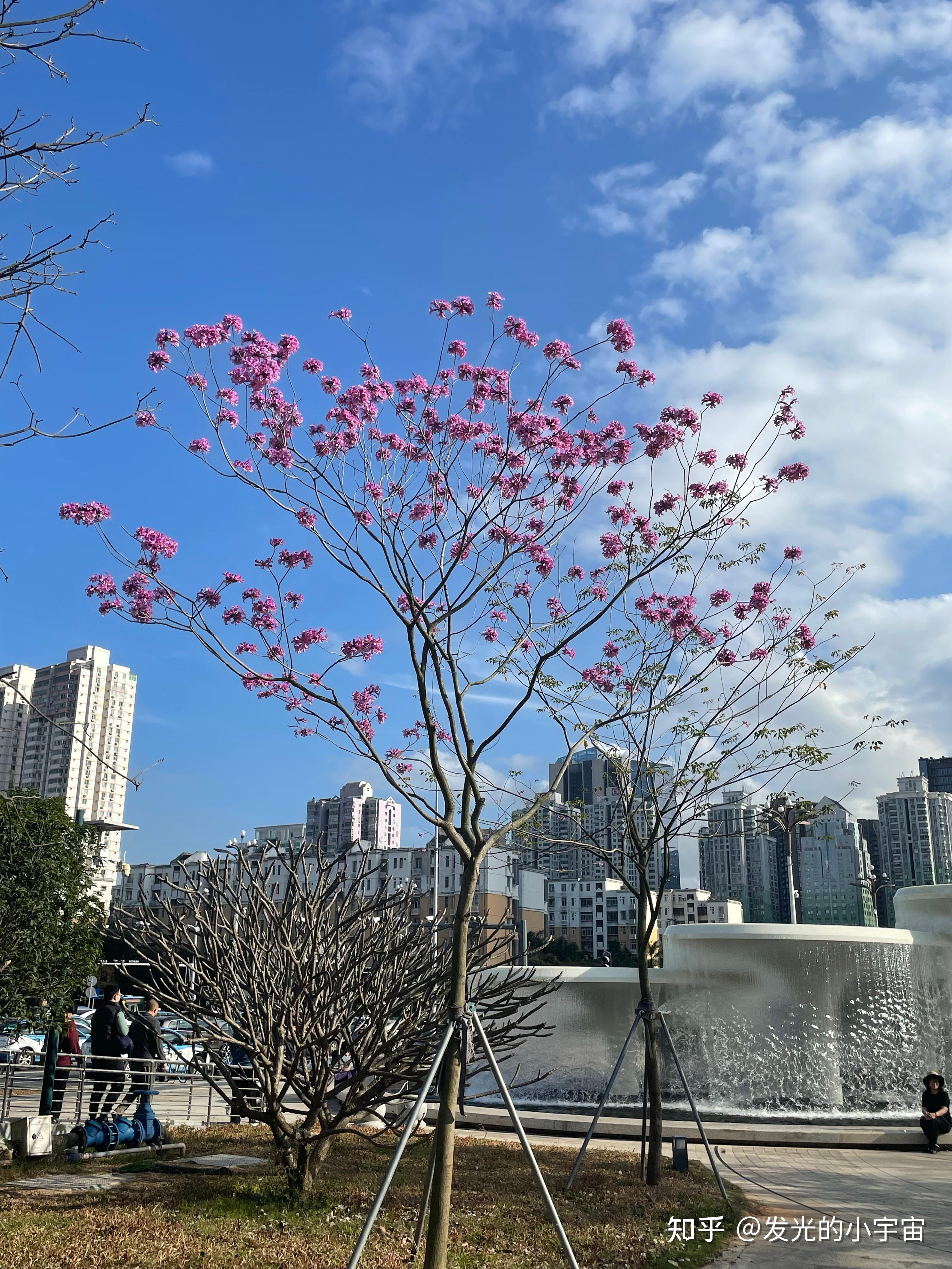 晴天与阴天,你更喜欢哪一个?是否会影响你的心情?