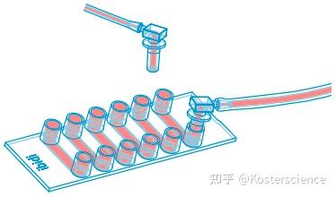 ibidi μ-Pattern 微区块表面 VI 0.4 六通道载玻片玩转指南（ibiTreat，lin20，pit170） - 知乎