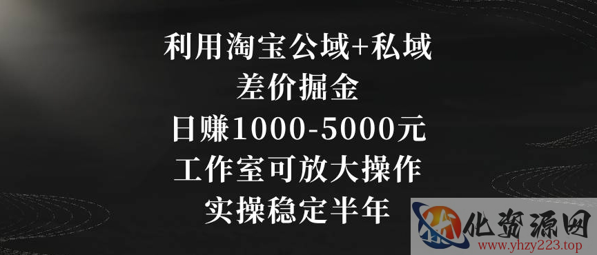 利用淘宝公域+私域差价掘金，日赚1000-5000元，工作室可放大操作，实操稳定半年【揭秘】