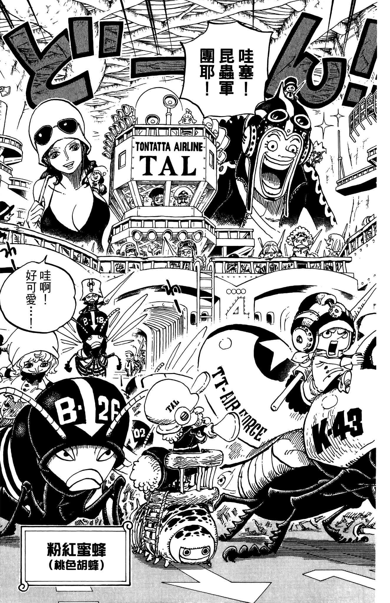 乔巴和罗宾是什么关系,感觉很不一般?