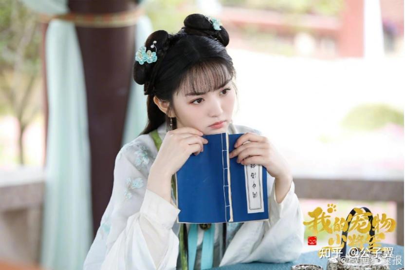 如何评价肖凯中田曦薇主演的古装玄幻甜宠剧我的宠物少将军