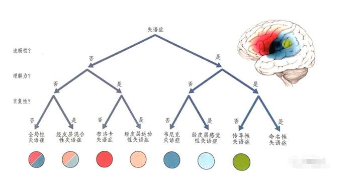 失语病人指示图图片