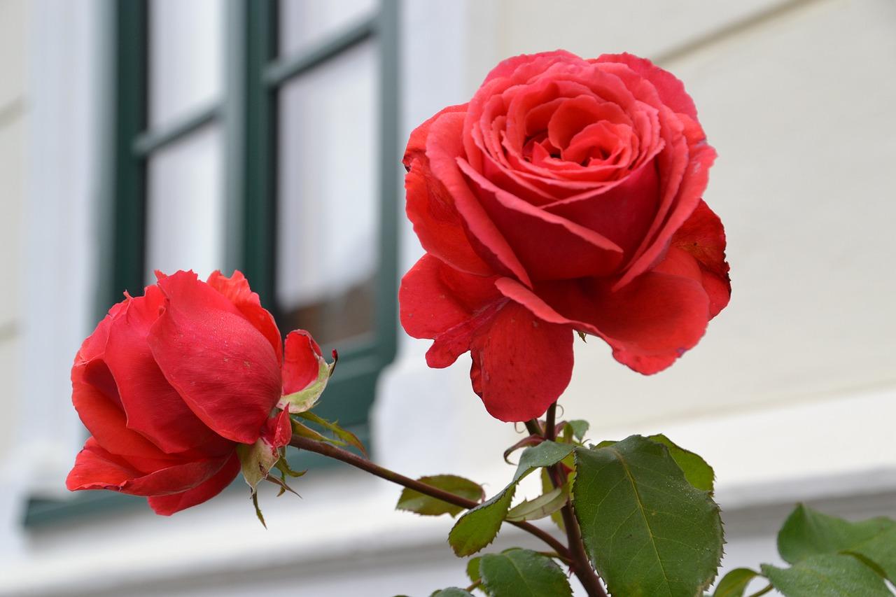 1. 长征路核心地段