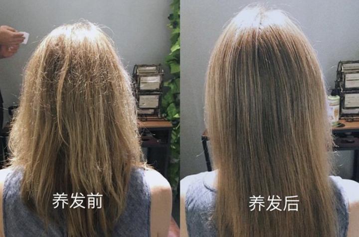 植物养发到底在养什么,它有什么作用呢? - 知乎