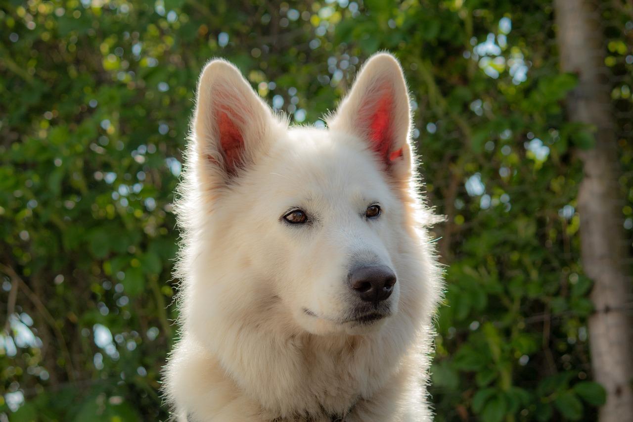 3. 光照调整方法