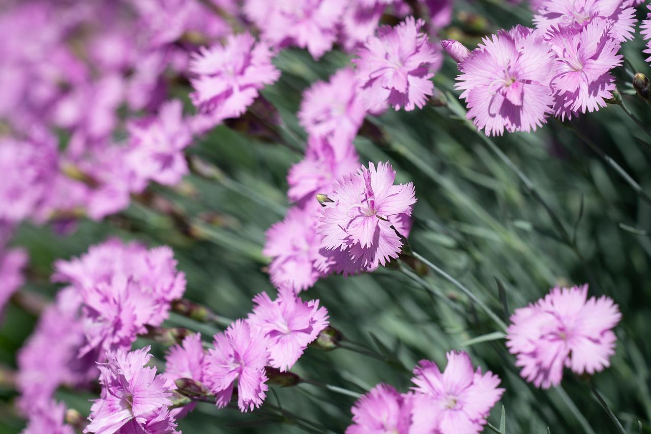 1. 腻子用量标准