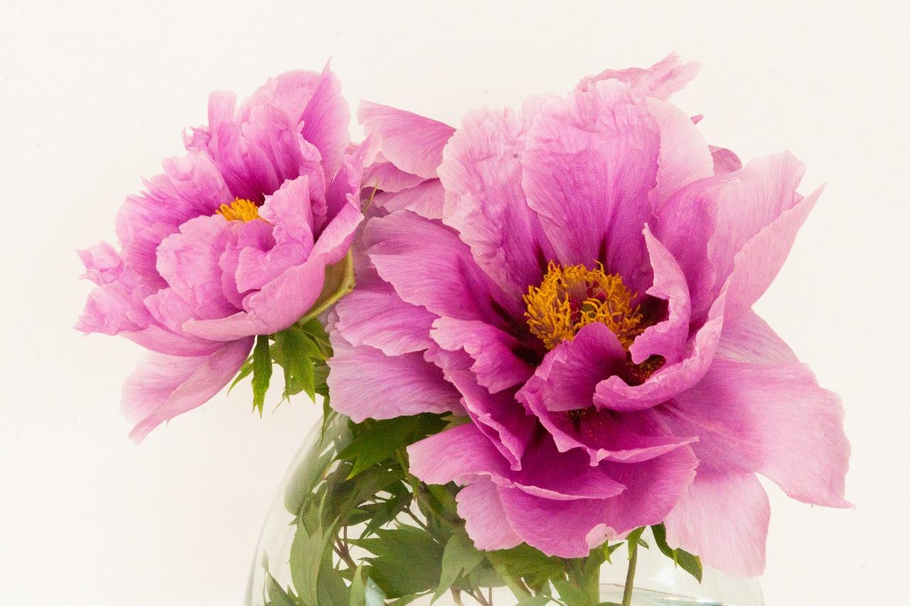 3. 传统节日装饰