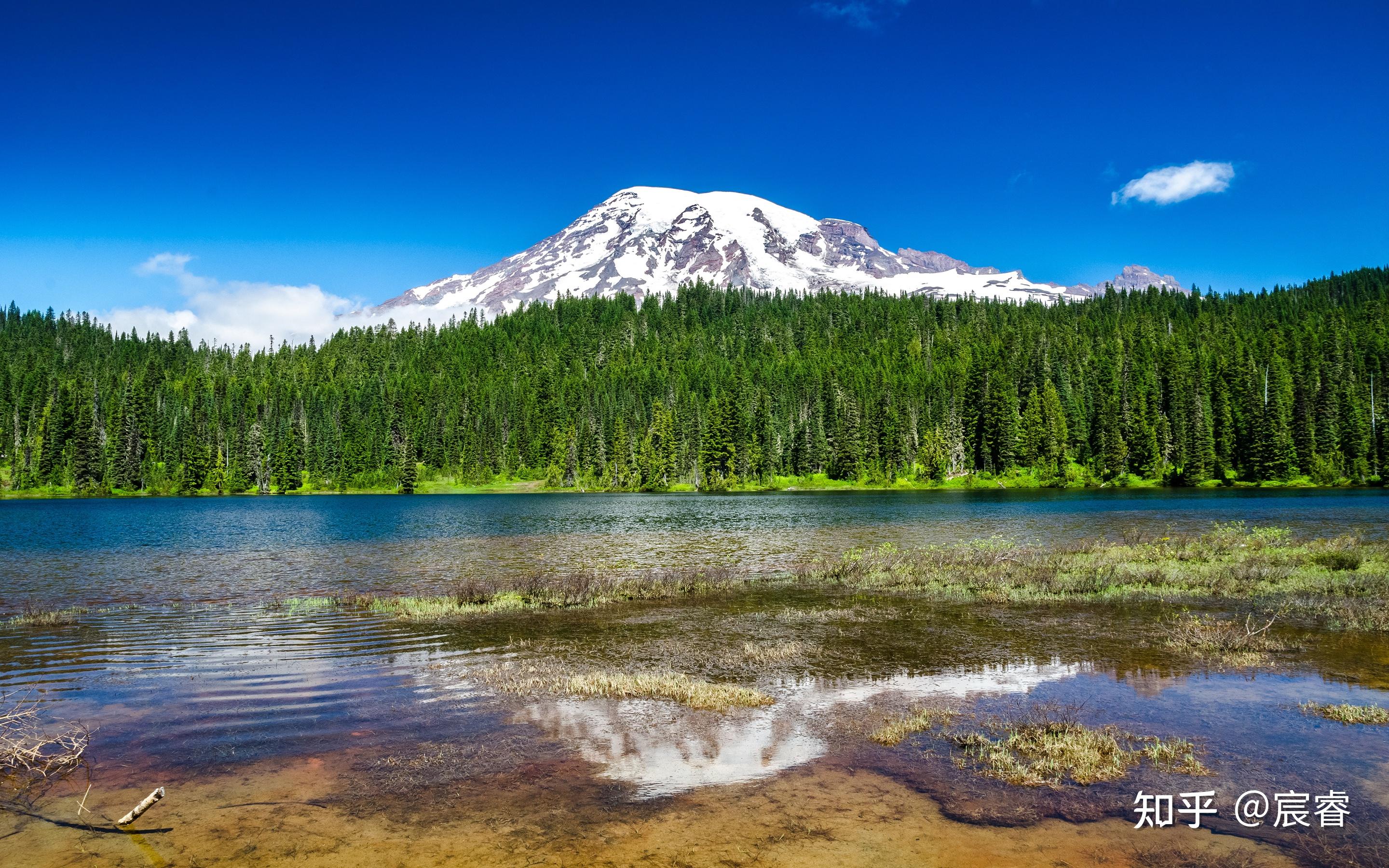 有什么一读起来感觉很"痛快""豁然开朗"的句子? - 知乎